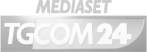 mediaset mediaset
